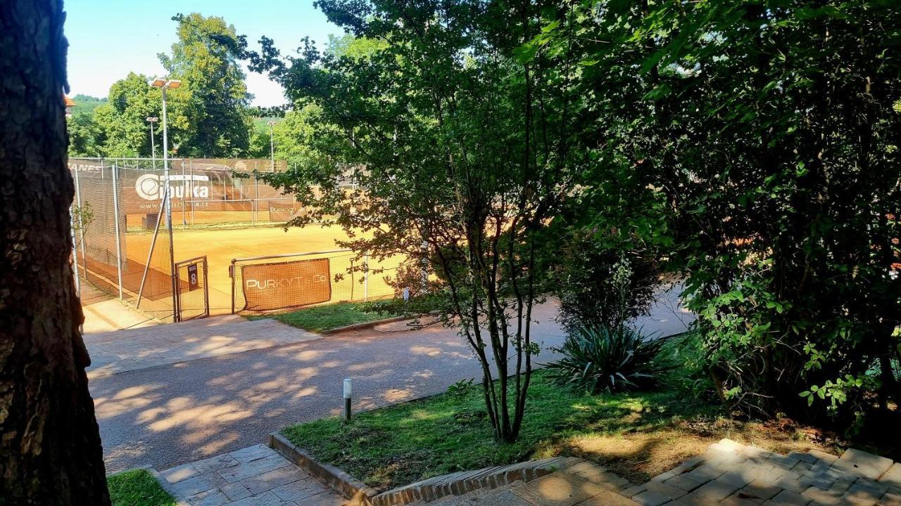 פראג Hostel Cibulka מראה חיצוני תמונה