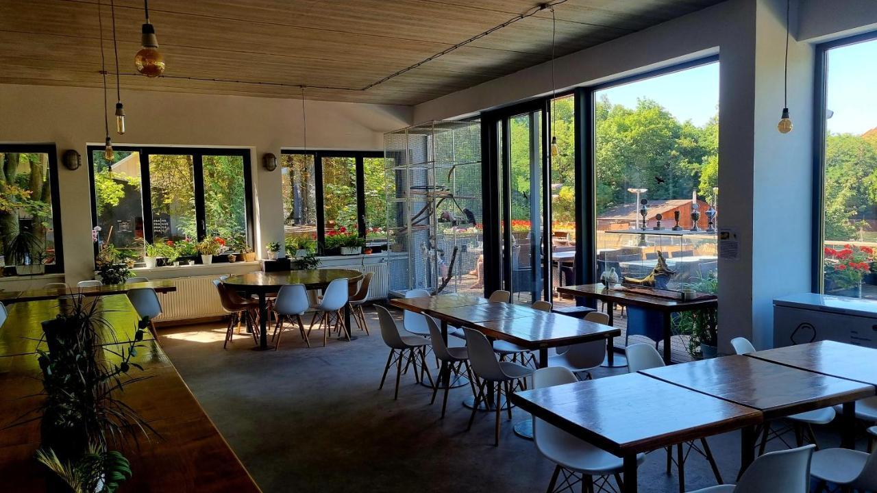 פראג Hostel Cibulka מראה חיצוני תמונה